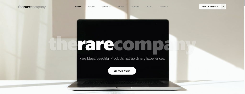 The Rare Company Project